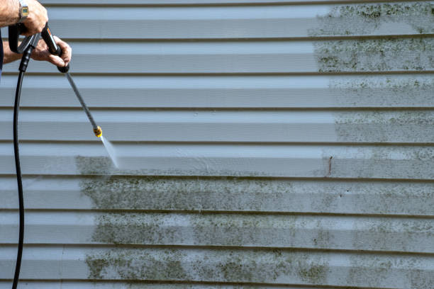 Best Residential Junk Removal  in Springfield, IL